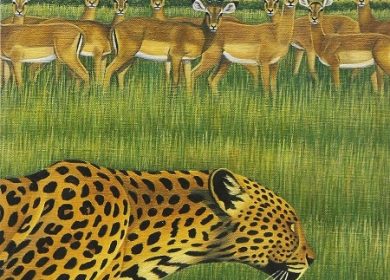 Fantastic Plastic Machine「Zoo」